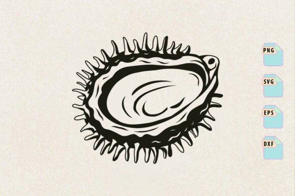 Clam Shell Svg, Ocean Svg, Sea Life Svg