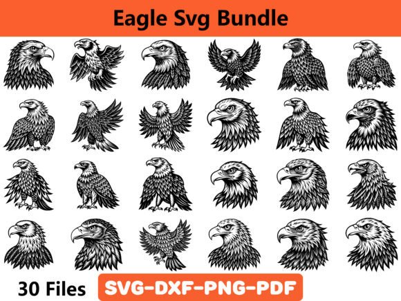 Eagle SVG Bundle: A Designer’s Real-World Embroidery Review